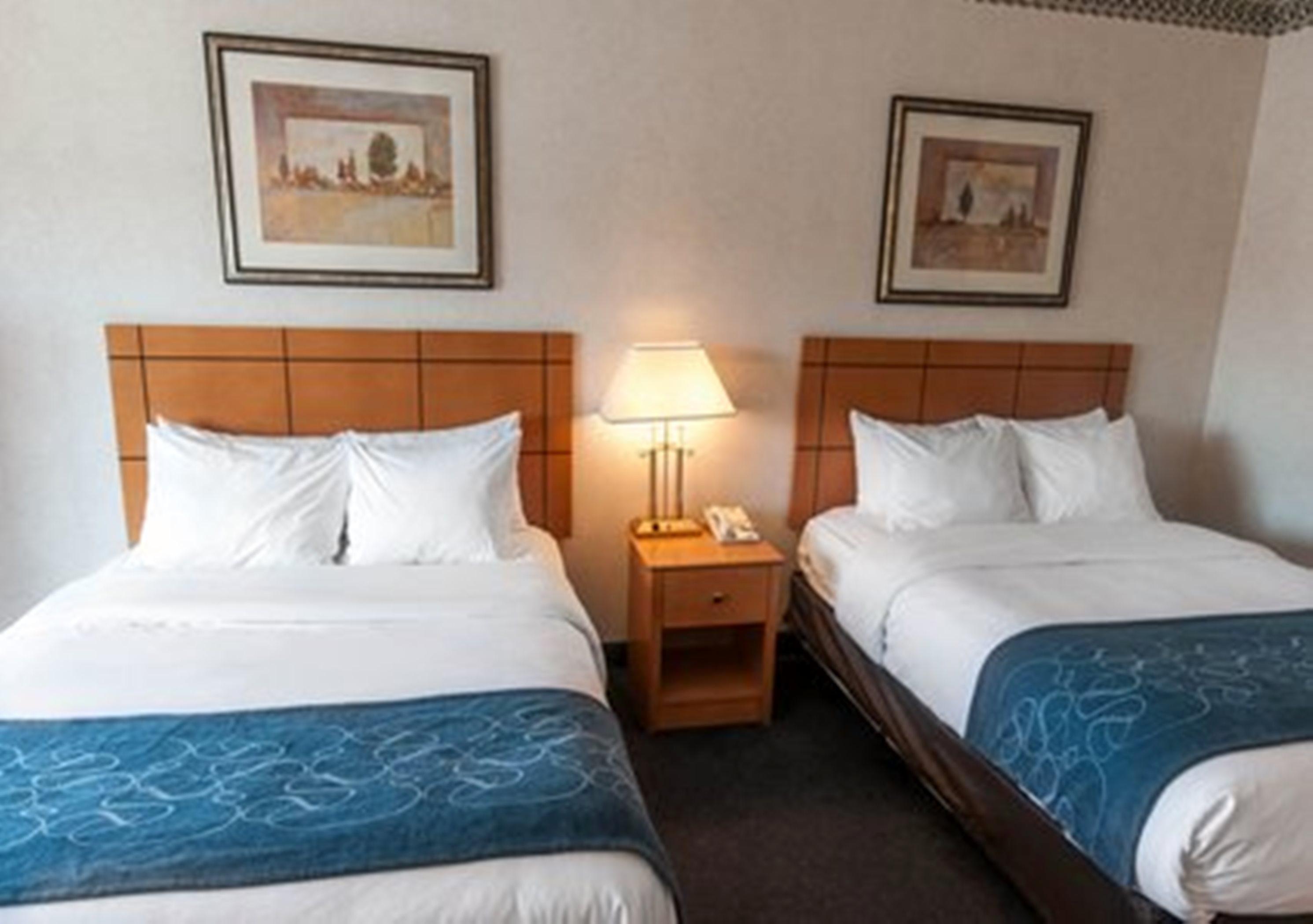 Comfort Suites University Las Cruces Quarto foto